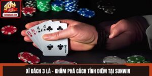 Xì Dách 3 Lá Bật Mí Cách Tính Điểm Chi Tiết Tại SUNWIN