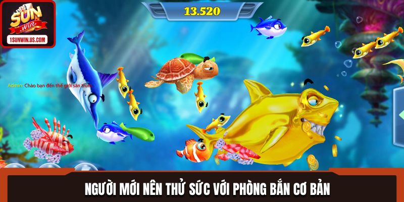 Người mới nên thử sức với phòng bắn cơ bản