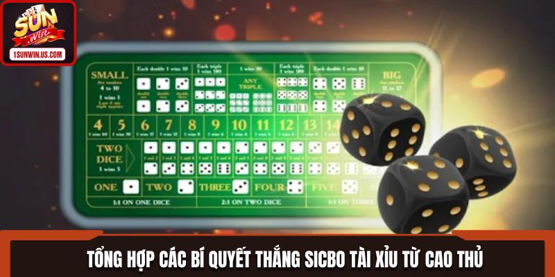 Tổng hợp các bí quyết thắng Sicbo Tài Xỉu từ cao thủ