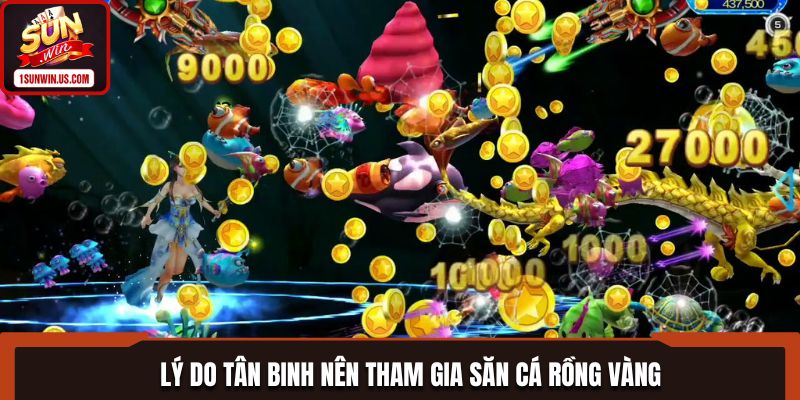 Những ưu điểm khi nhắc đến săn cá rồng vàng