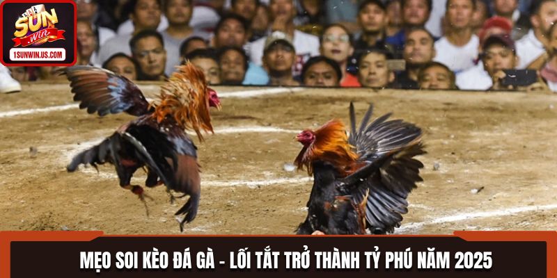 Mẹo Soi Kèo Đá Gà - Lối Tắt Trở Thành Tỷ Phú Năm 2025