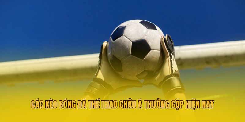 Các kèo bóng đá thể thao châu Á thường gặp hiện nay