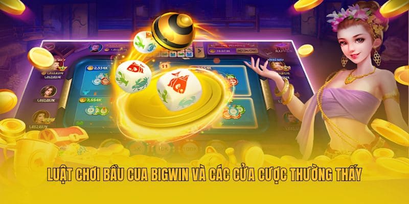 Luật chơi Bầu cua Bigwin và các cửa cược thường thấy