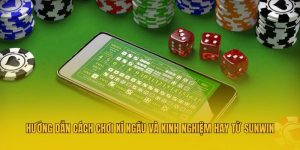 Hướng Dẫn Cách Chơi Xí Ngầu Và Kinh Nghiệm Hay Từ Sunwin