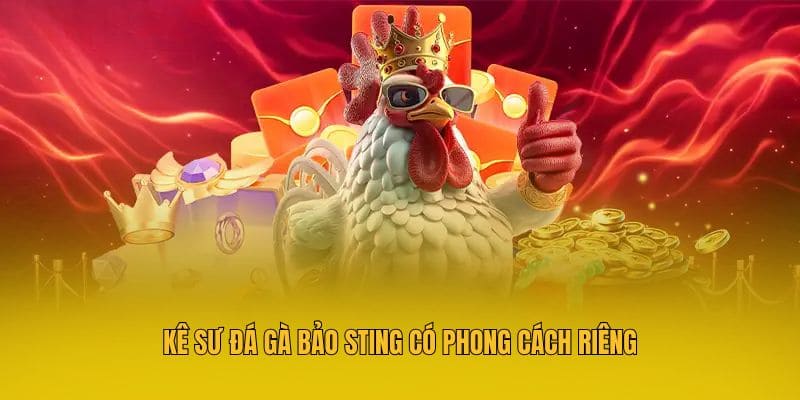 Kê sư đá gà Bảo Sting có phong cách riêng