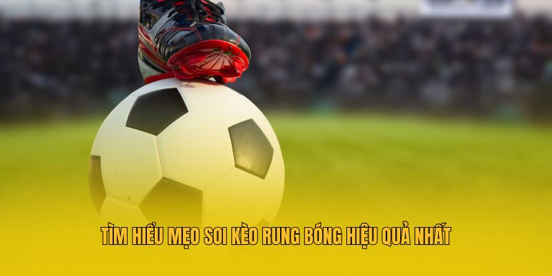 Tìm hiểu mẹo soi kèo rung bóng hiệu quả nhất