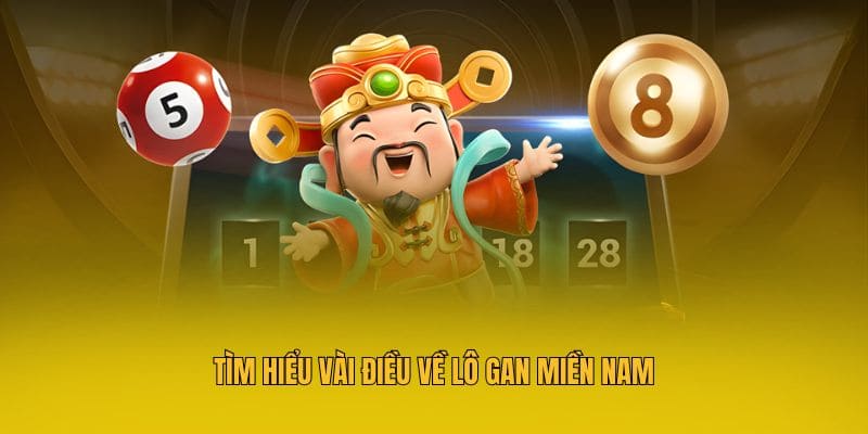 Tìm hiểu vài nét về lô gan miền nam