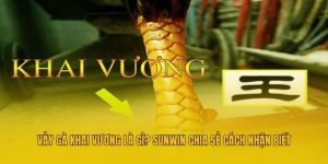 Vảy Gà Khai Vương Là Gì? Sunwin Chia Sẻ Cách Nhận Biết